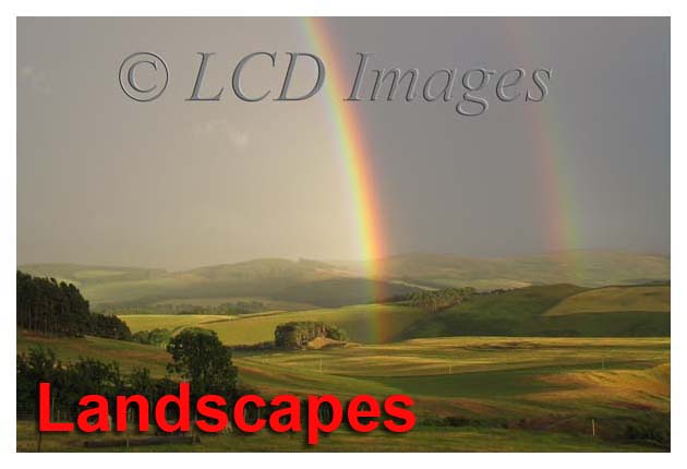 Landscapes